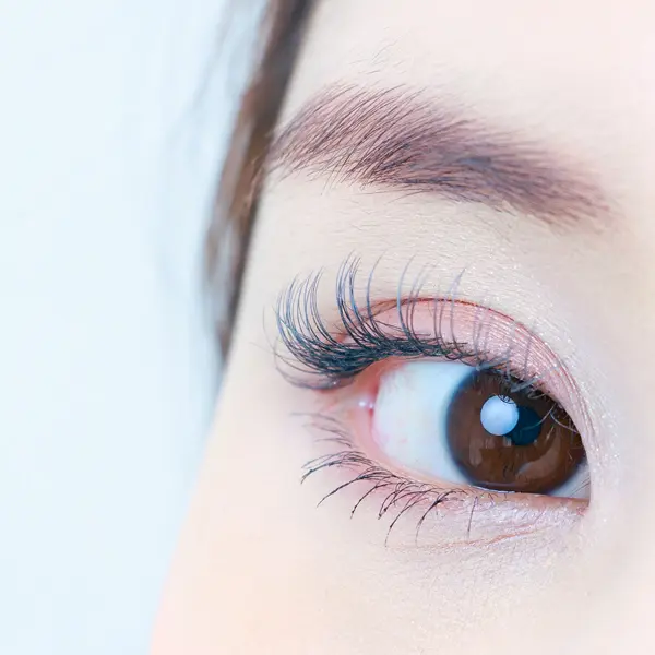 嬰兒彎榛濃款美睫，柔濃立體打造深邃雙眼